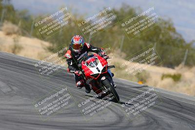 media/Feb-03-2024-SoCal Trackdays (Sat) [[767c60a41c]]/8-Turn 7 (1140am)/